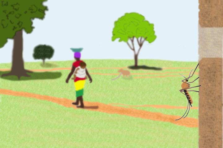 Walking with malaria. Illustration by Will Hamilton.